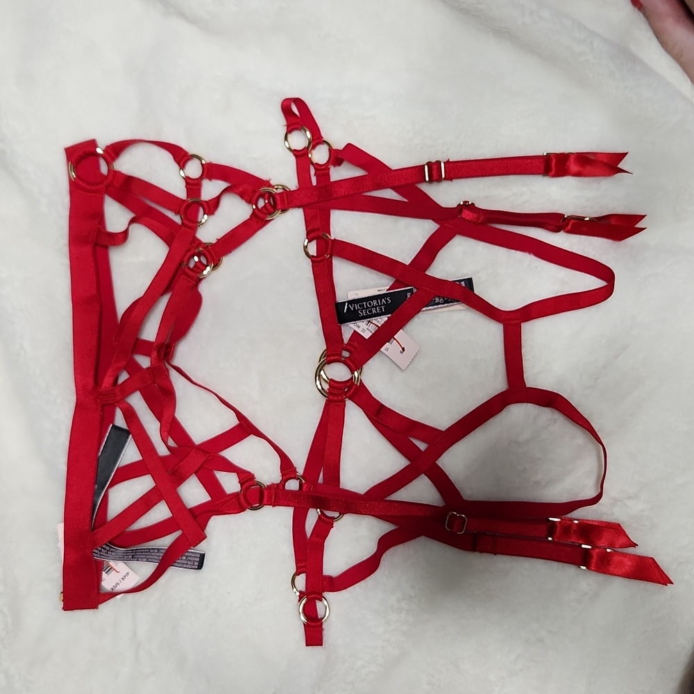 NWT Victoria's Secret Red Garter Belt and Panty Set